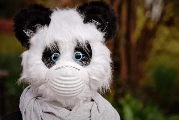 Unibet Kasino Sokongan